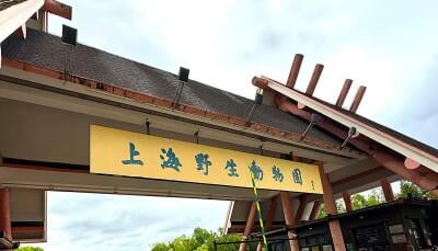「チンパンジーに◯◯ホ見せないで」＝上海野生動物園が呼び掛け