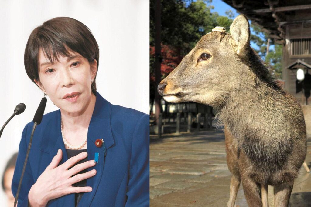 高市早苗氏「外国人が奈良公園のシカ暴行」　突然の主張はどうして？　急伸した政党に乗っかったとの見方も