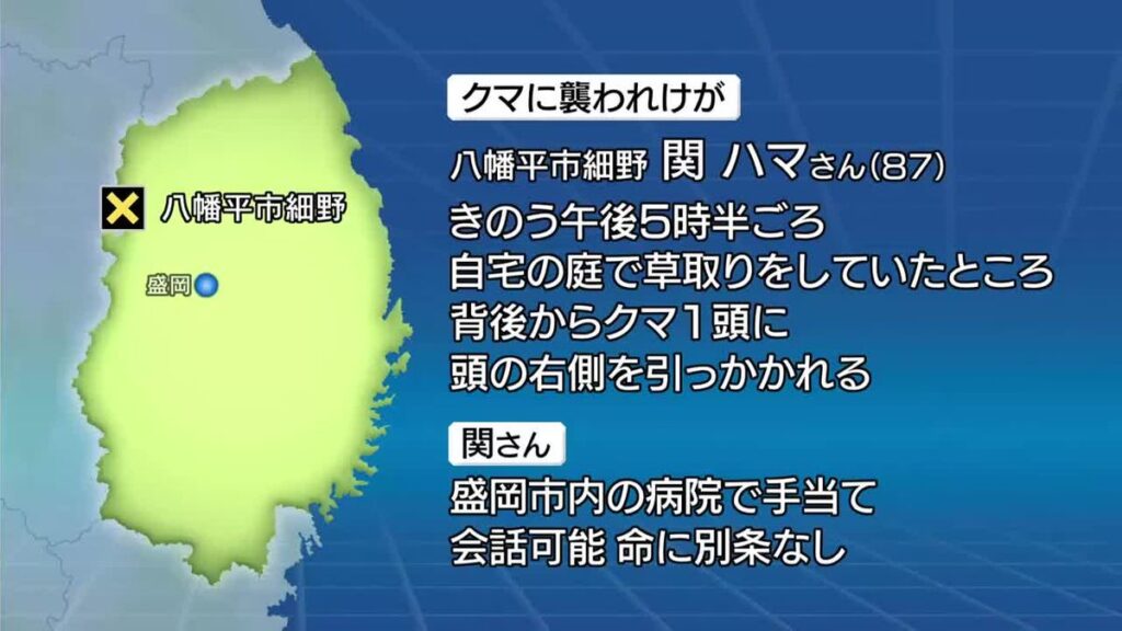 共有