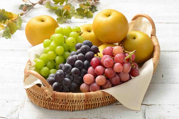 日報+BSN 住まいの広場 新潟南会場