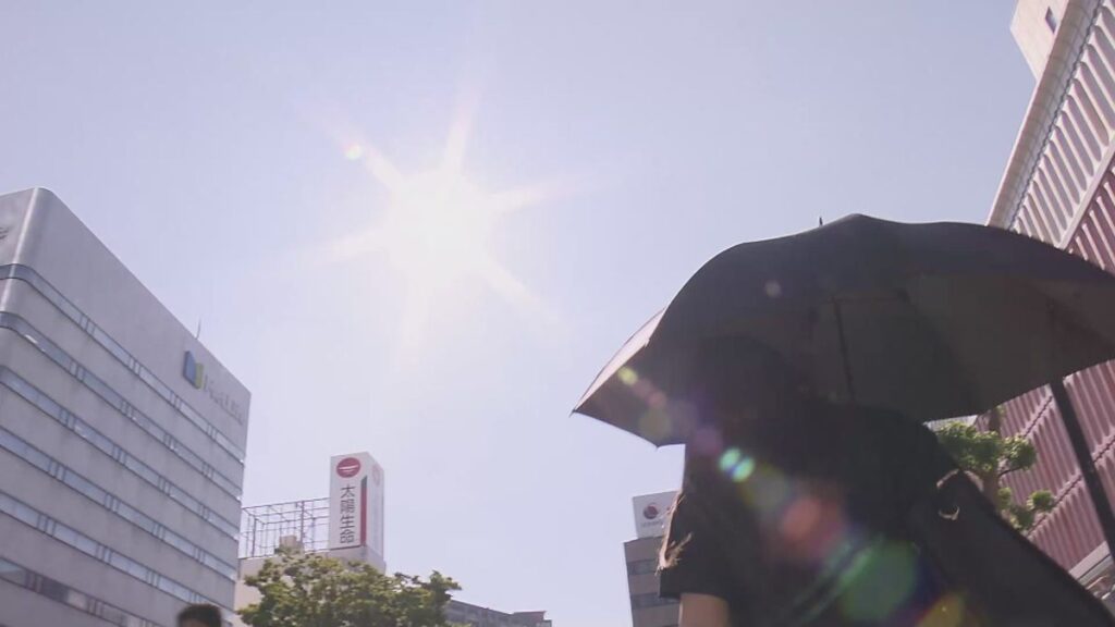 共有