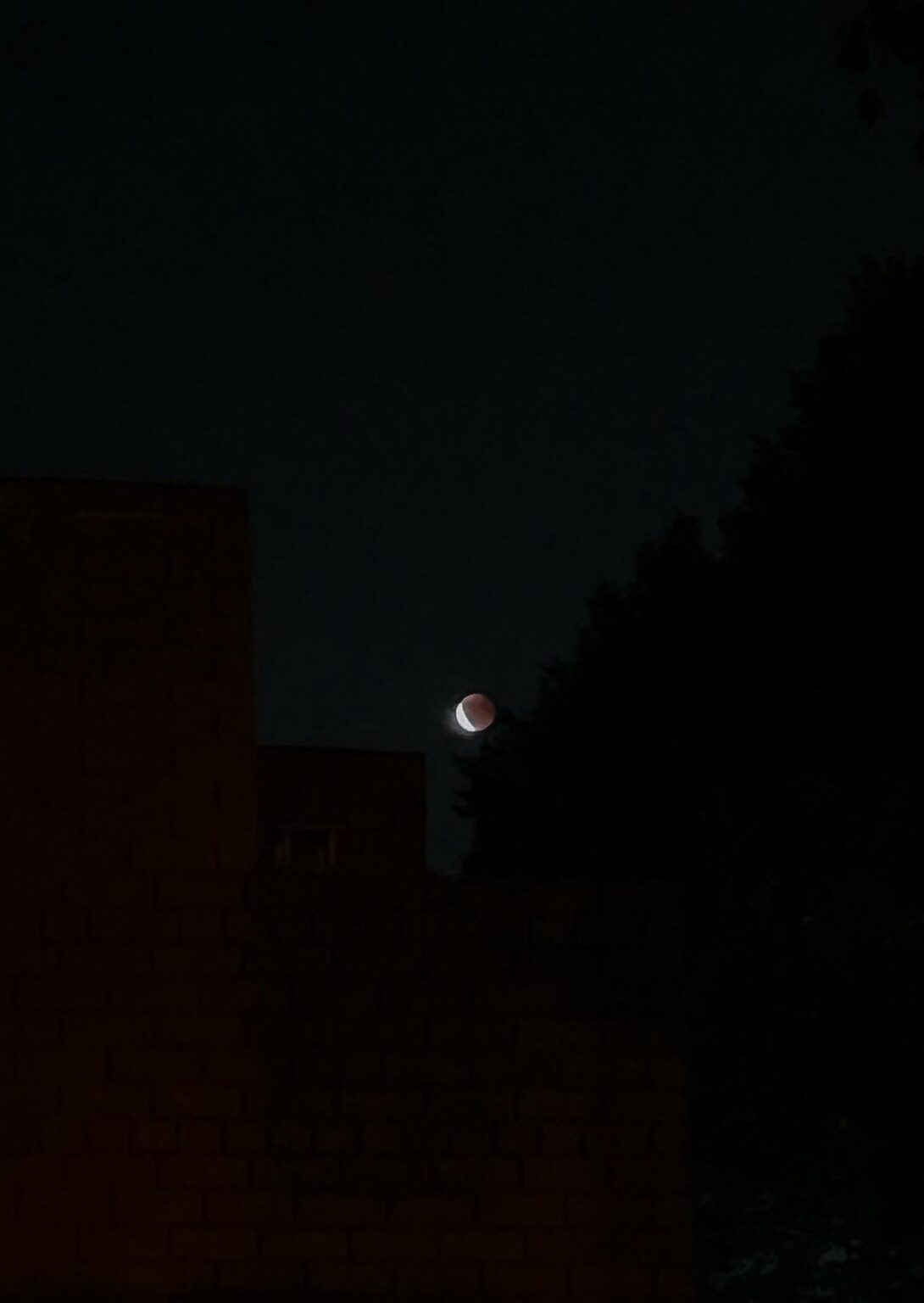 今夜の月