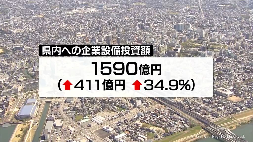 共有