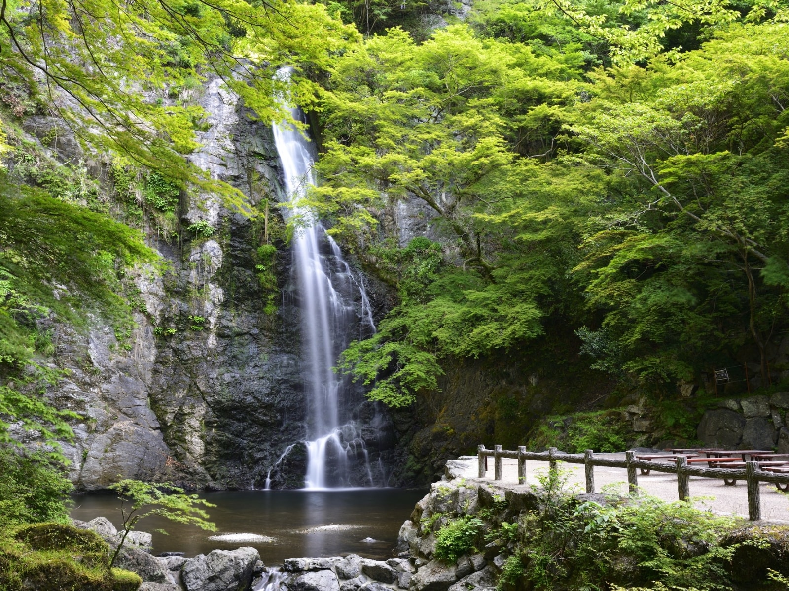「夏に行きたい滝」ランキング