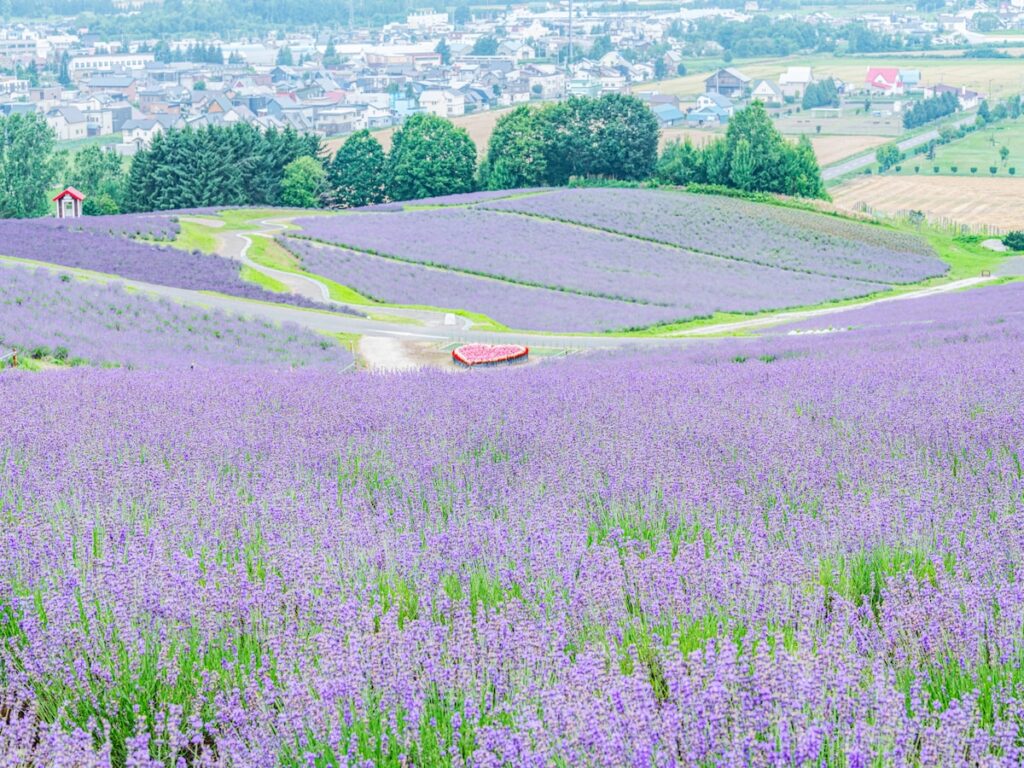 「老後を過ごしたい都道府県」ランキング！ 2位「北海道」を4票差で抑えた、1位は？【2025年調査】 - All About ニュース
