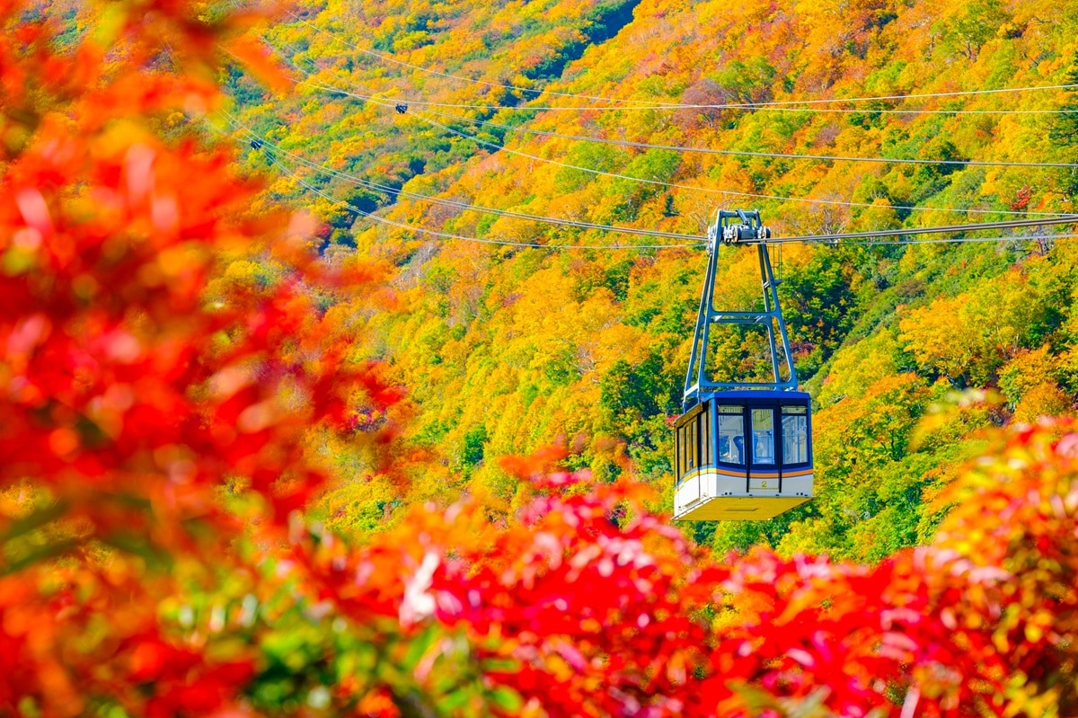 好き＆行ってみたい「北アルプス・上信越の山」ランキング