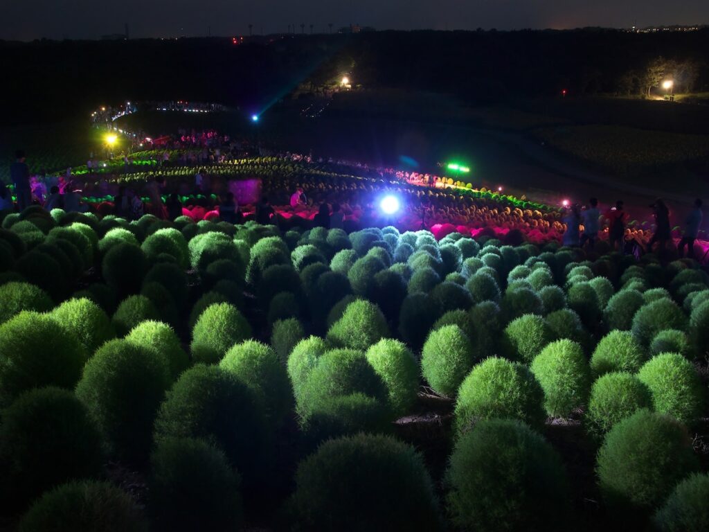 好き＆行ってみたい「茨城県のお月見スポット」ランキング！ 2位「ひたち海浜公園」、1位は？ - All About ニュース