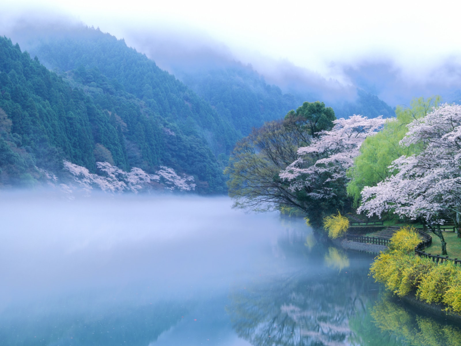 「好き＆行ってみたい徳島県のダム」ランキング