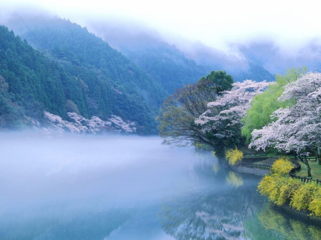 好き＆行ってみたい「徳島県のダム」ランキング！2位「川口ダム」を抑えた1位は？【2025年調査】 - All About ニュース