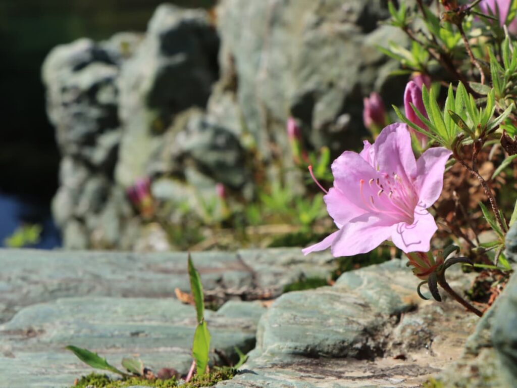 好き＆行ってみたい「高知県のダム」ランキング！ 「汗見ダム」を2票差で抑えた1位は？【2025年調査】 - All About ニュース