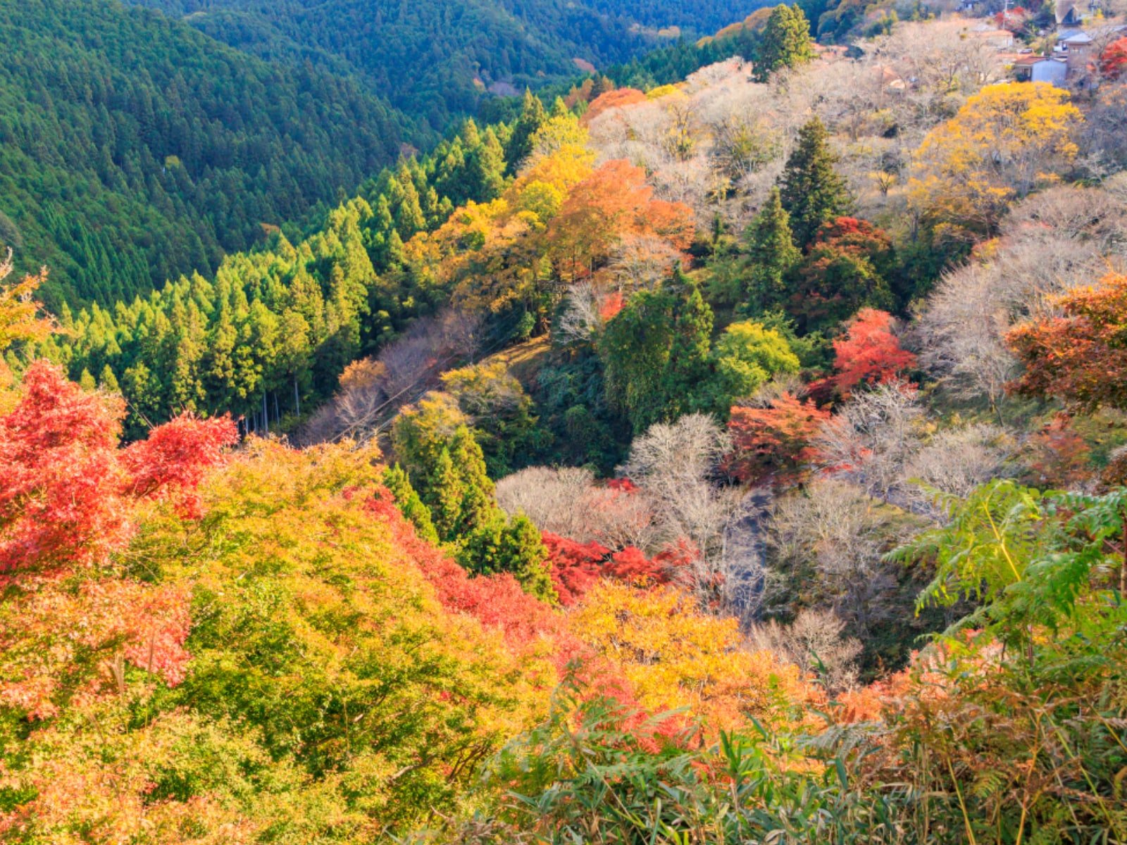 1人旅で行きたい「奈良県（奈良・吉野・大和路エリア）の温泉地」ランキング