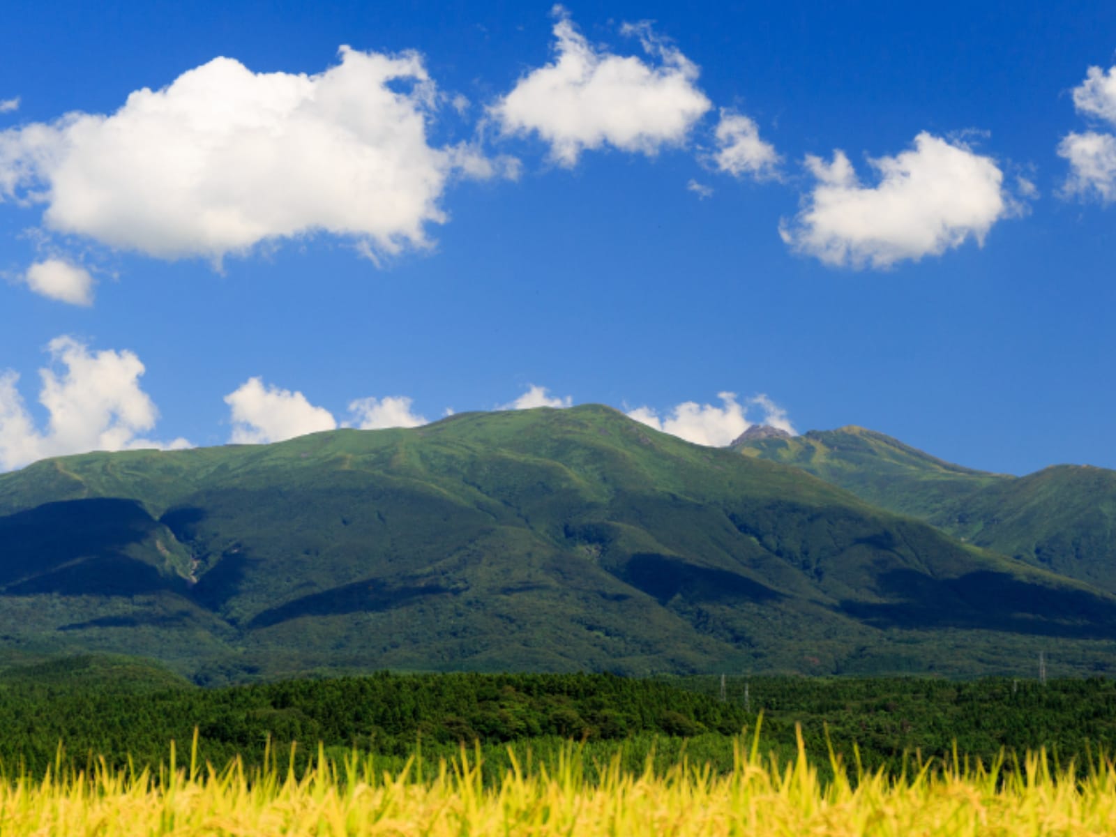 「絶景が楽しめると思う秋田県の道の駅」ランキング