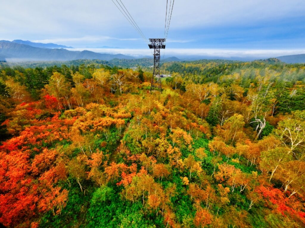 好き・行ってみたい「北海道の紅葉スポット」ランキング! 2位「大雪山・旭岳」、1位は?【2025調査】 – All About ニュース 好き・行ってみたい「北海道の紅葉スポット」ランキング! 2位「大雪山・旭岳」、1位は?【2025調査】 - All About ニュース