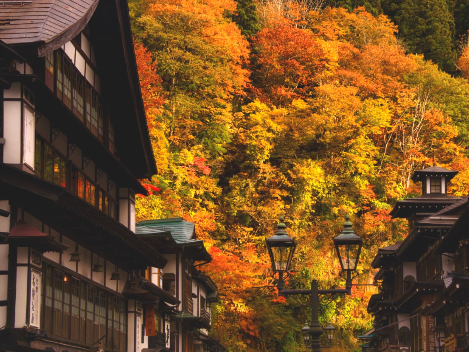 「山形県の紅葉スポット」ランキング