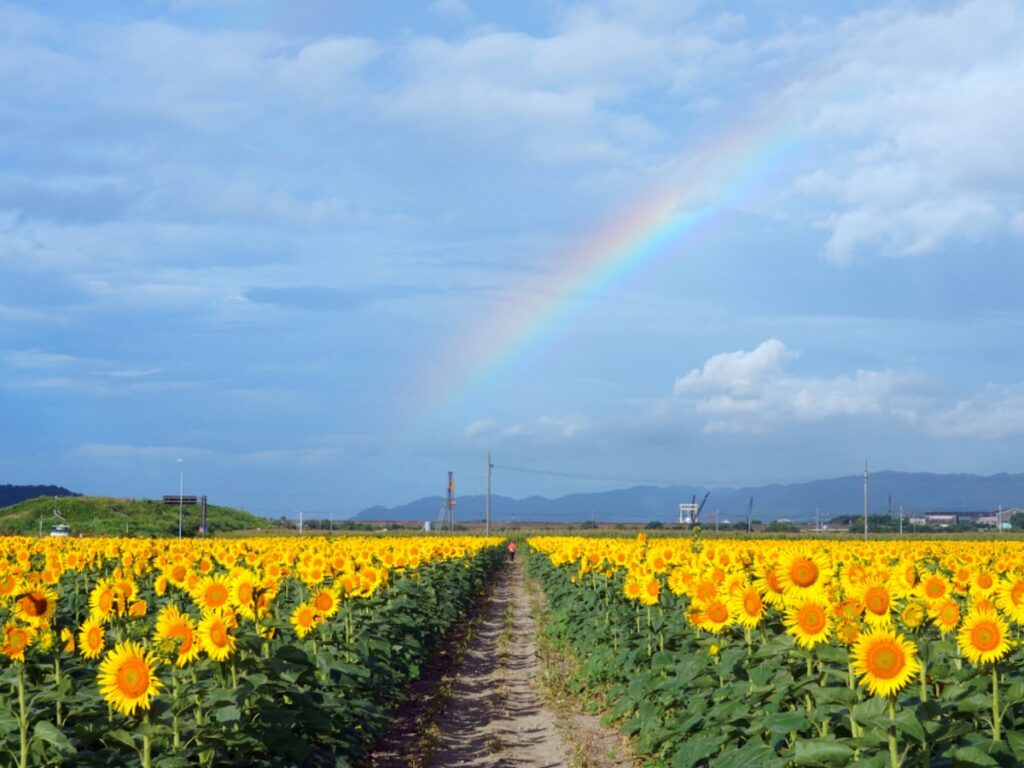 絶景が楽しめると思う「岡山県の道の駅」ランキング! 2位「笠岡ベイファーム」、1位は?【2025調査】 – All About ニュース 絶景が楽しめると思う「岡山県の道の駅」ランキング! 2位「笠岡ベイファーム」、1位は?【2025調査】 - All About ニュース