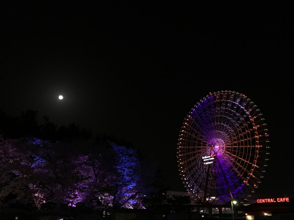 好き＆行ってみたい「大阪府のお月見スポット」ランキング