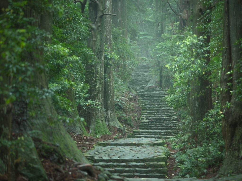 好き&行ってみたい「和歌山県のお月見スポット」ランキング! 2位「熊野古道・大門」を抑えた1位は?【2025年調査】 – All About ニュース 好き&行ってみたい「和歌山県のお月見スポット」ランキング! 2位「熊野古道・大門」を抑えた1位は?【2025年調査】 - All About ニュース