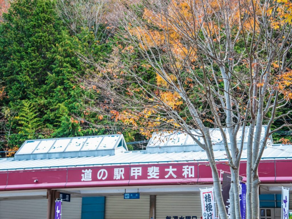 お土産が充実していると思う「山梨県の道の駅」ランキング! 2位「甲斐大和」を抑えた1位は?【2025年調査】 – All About ニュース お土産が充実していると思う「山梨県の道の駅」ランキング! 2位「甲斐大和」を抑えた1位は?【2025年調査】 - All About ニュース