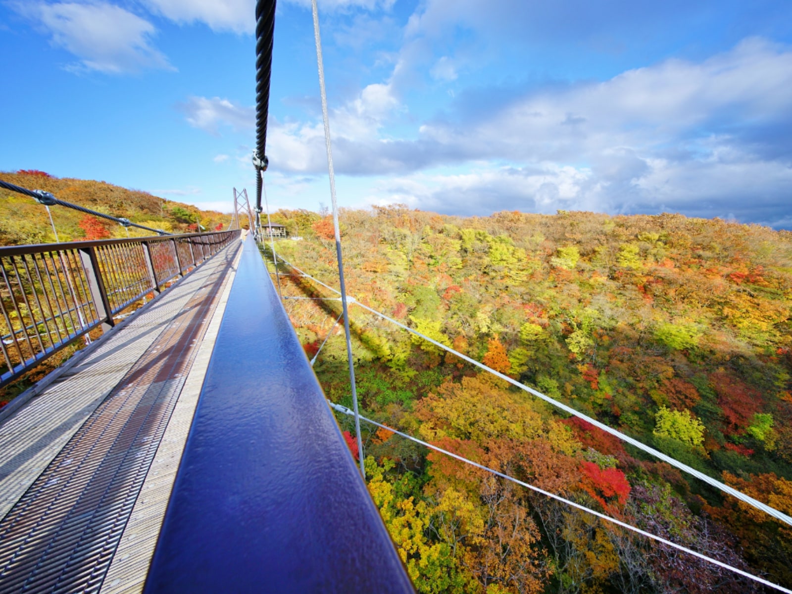 「栃木県（日光・鬼怒川・那須エリア）の温泉地」ランキング