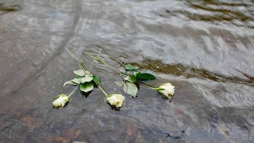 ミシェルは病気の友人を自殺したのを助け、法廷に出頭しなければなりませんでしたが、とにかく罰を受けません