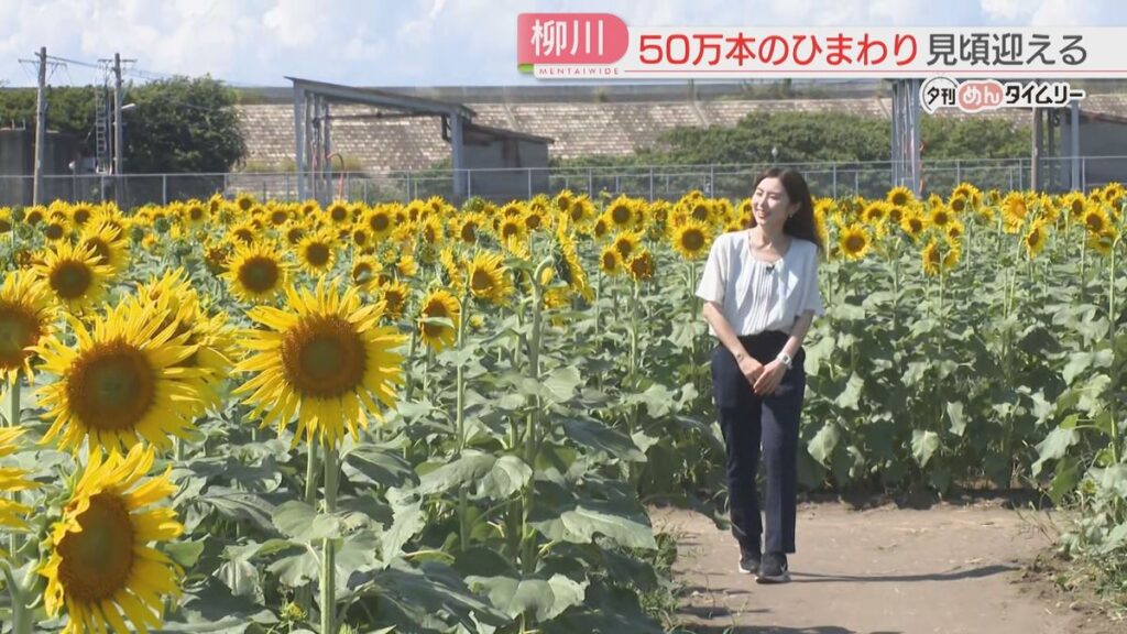 共有