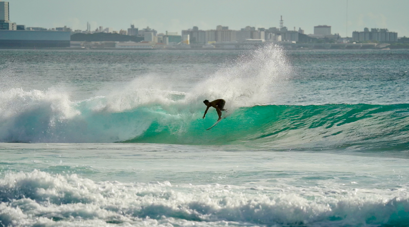スクリーンショット 2025-09-29 4.37.14