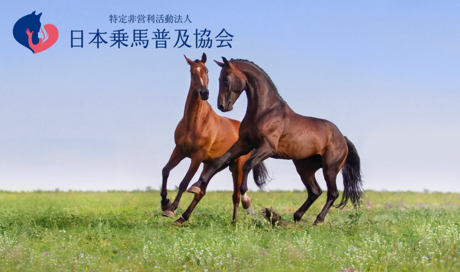 SDGs AICHI EXPO 2025に出展｜乗馬の普及で引退競走馬のセカンドキャリアの持続可能性を考える！ | 特定非営利活動法人日本乗馬普及協会のプレスリリース
