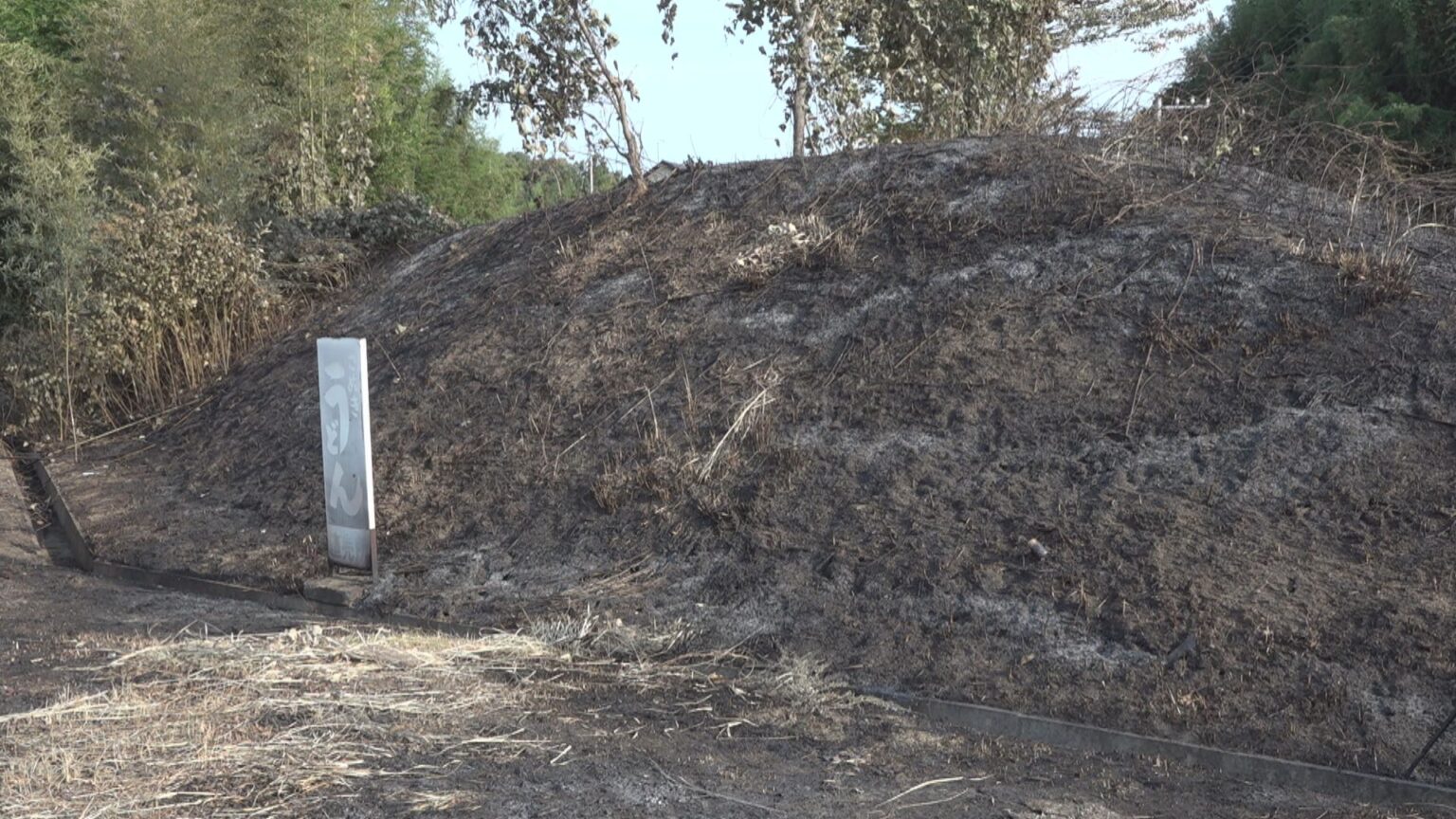 野焼きが燃え広がったか 下草など約550平方メートル焼ける 80代男性が軽傷 香川・綾川町 | KSBニュース | KSB瀬戸内海放送 野焼きが燃え広がったか 下草など約550平方メートル焼ける 80代男性が軽傷 香川・綾川町 | KSBニュース | KSB瀬戸内海放送