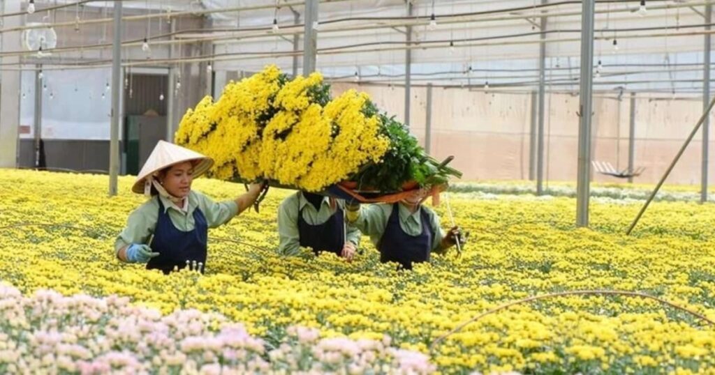 Vietnam.vn - Nền tảng quảng bá Việt Nam