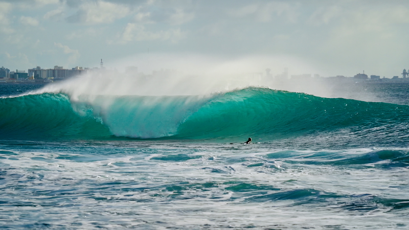 スクリーンショット 2025-09-29 4.43.38