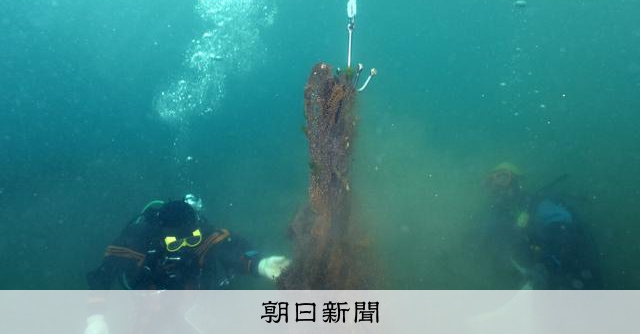 海の命を奪い続ける「幽霊」　ゴーストギア回収を潜水ルポ　知床近海 [北海道]：朝日新聞