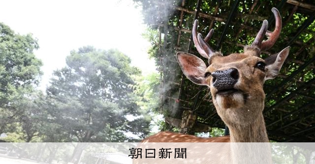 外国人が奈良のシカ蹴る？発言の根拠問われ高市氏「自分なりに確認」：朝日新聞 - 朝日新聞
