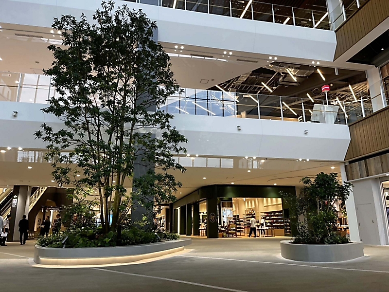 イオンモール須坂の内側を見た ホールに巨大な木、「1日では回りきれない」広さ【動画付き】 – 信濃毎日新聞デジタル イオンモール須坂の内側を見た ホールに巨大な木、「1日では回りきれない」広さ【動画付き】 - 信濃毎日新聞デジタル