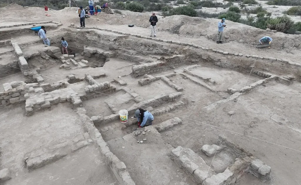ペルーの遺跡でモチェ文化の「小宮殿」を発見。食物残渣から、1400年前の贅沢な食生活も明らかに | ARTnews JAPAN（アートニュースジャパン）