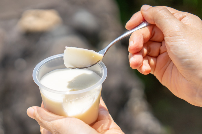 たまごの直売所「ふるさとたまご村」　　白いプリンの画像