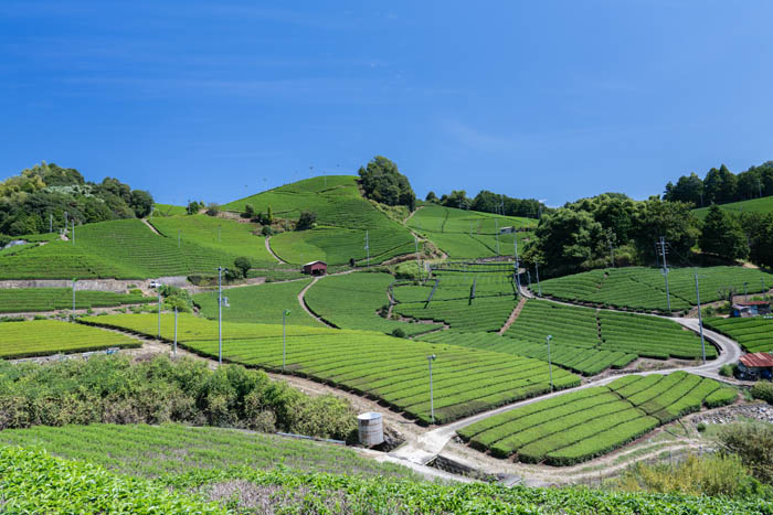 石寺の画像