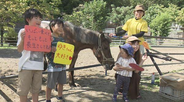 全国の動物園の「最高齢」38歳のポニー「ゆき」と記念撮影 人間で言えば100歳超 長生きの秘けつは「いっぱい食べる、寝る、強い気持ち 長野県須坂市