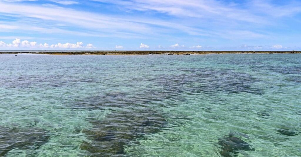 宮古で、瀬底島で、辺野古で…レジャー中の水難事故相次ぐ　いずれも波浪注意報中　沖縄 - 琉球新報デジタル