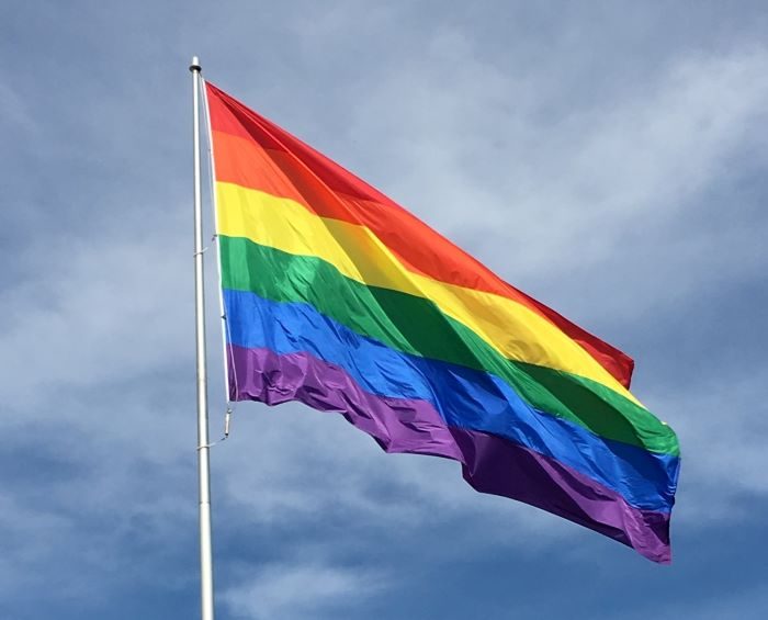 参政・和田那覇市議発言　「ＬＧＢＴＱへ差別助長」　ピンクドット沖縄、撤回要求 - 琉球新報デジタル