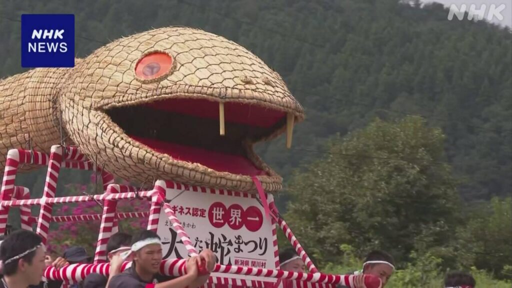 長さ80m以上 竹とわらで作った巨大なヘビ担ぐまつり 新潟
