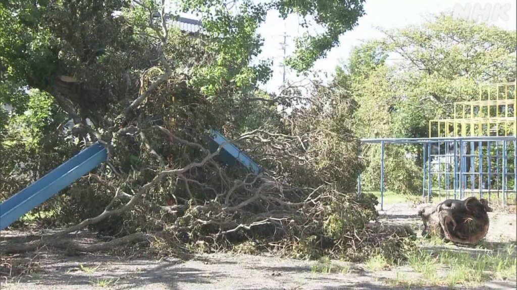 静岡県　台風15号による竜巻で被害　学校を休みにして片づける | NHKやさしいことばニュース | NEWS WEB EASY
