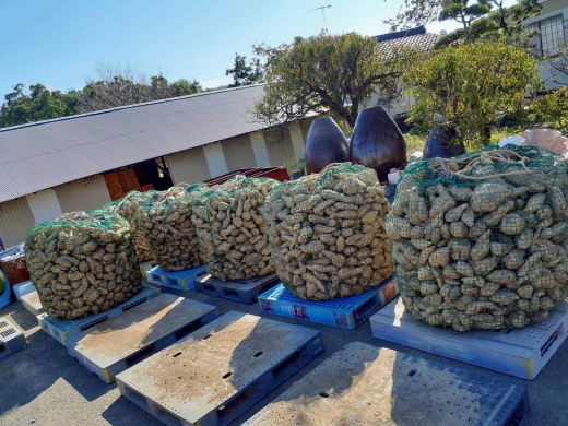 【鹿児島県薩摩川内市】「できる」を役割に。情熱と楽しさが生み出す「誇り」あふれる空間。／ 合同会社情熱家 田原千穂子さん・本村修さん