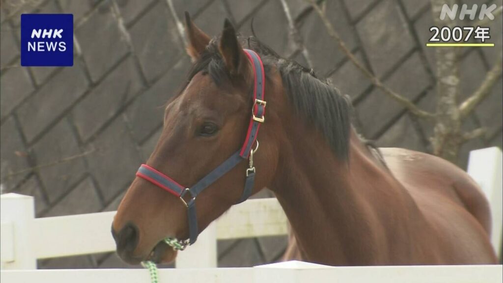 “負け組の星” 高知競馬の元競走馬「ハルウララ」死ぬ - nhk.or.jp