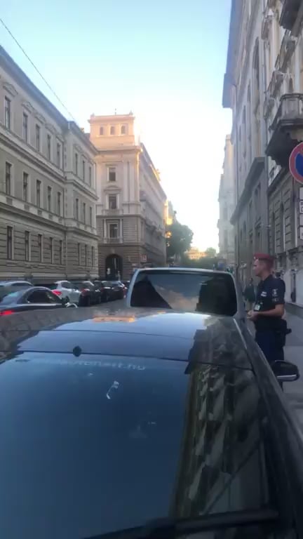 JánosLázárは、政府、ブルーランプカー、州の支払いドライバーによって子犬を運びます。 2:15に、ある程度熟考した後、小さなBoldizsárが出てきます。