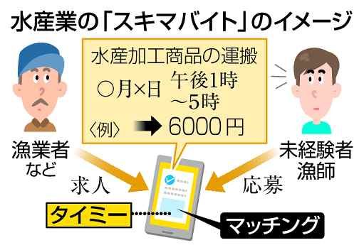 スキマバイト　水産業に導入　宮城、人手不足解消へ - 琉球新報デジタル