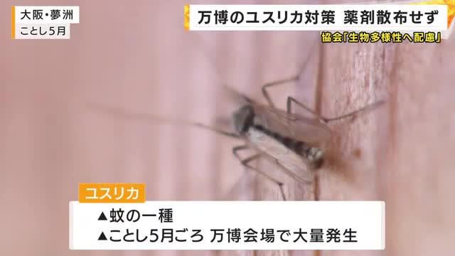 【速報】万博会場の「ユスリカ」会期末に再び大量発生か 博覧会協会「薬剤散布は行わない」 | 関西のニュース | ニュース
