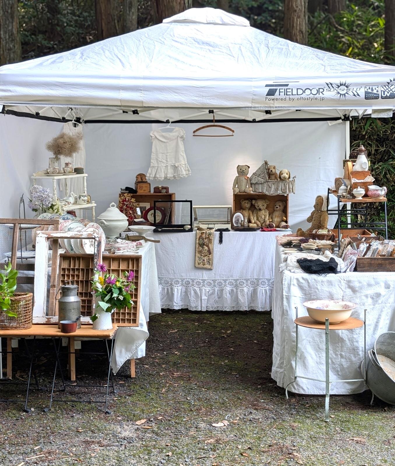 「アンティークドボタンキコ(anteiquedebuttonkiko)」