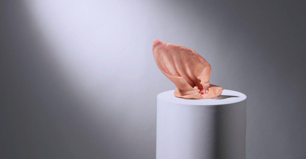 虐殺、チート、そして沈黙を守る：肉のセクターの臭いのもの