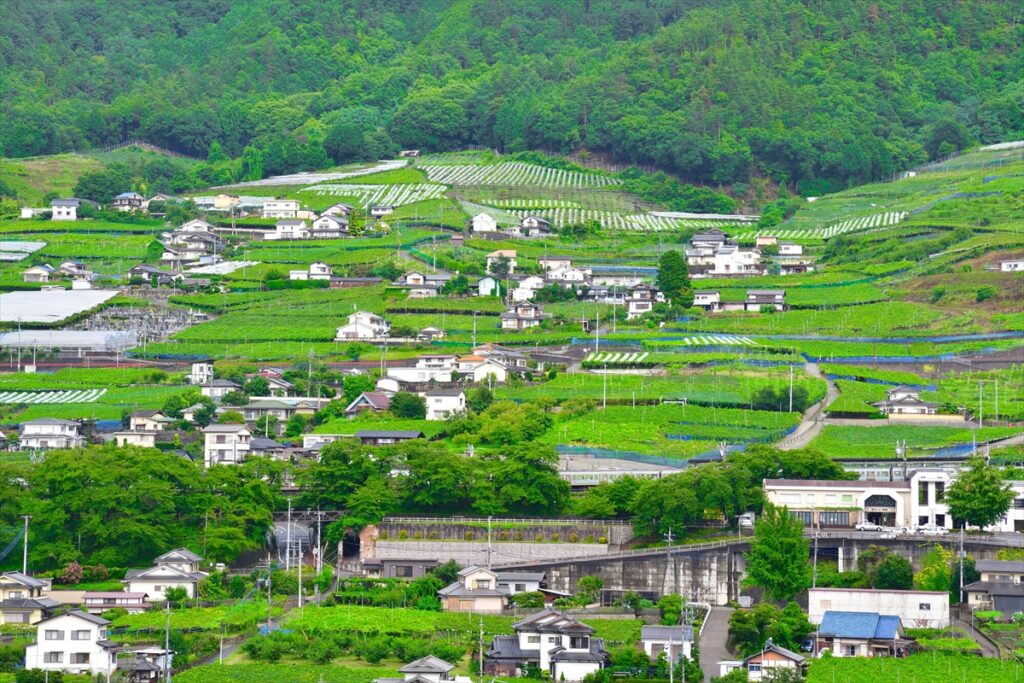 15スポット巡って豪華プレゼントに応募！山梨県甲州市で「甲州市とくしるスタンプラリー」開催 (2025年9月25日) - エキサイトニュース