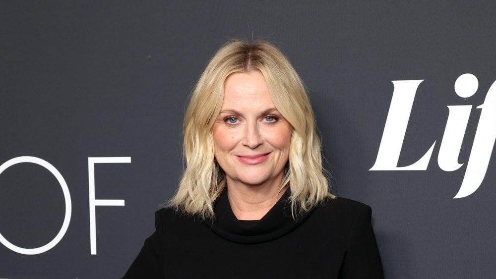 エイミー・ポーラーは、コメディ映画を決して授与しないことでオスカーを呼びかけます。「それはいくつかのホットブルです。コメディは簡単ではありません」